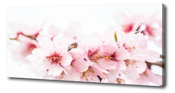 Print pe canvas flori de cireș