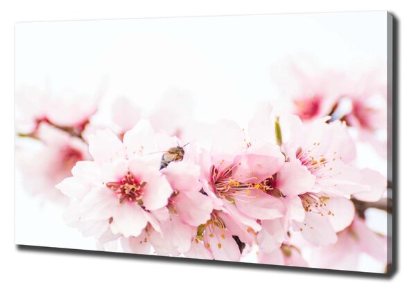 Print pe canvas flori de cireș