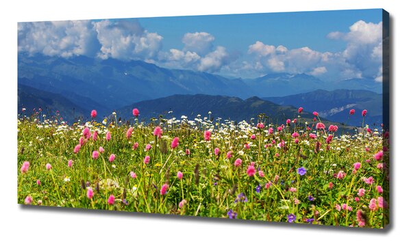Print pe canvas Meadow în munți