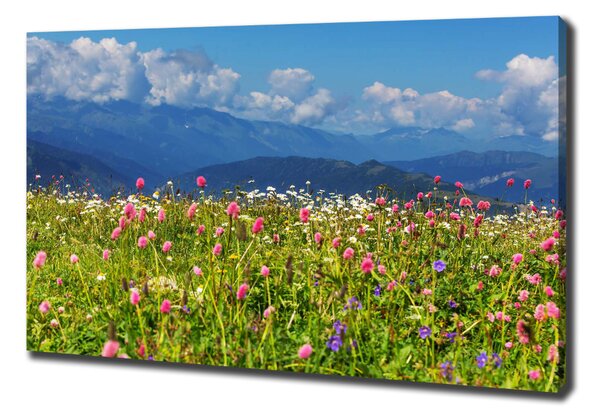 Print pe canvas Meadow în munți