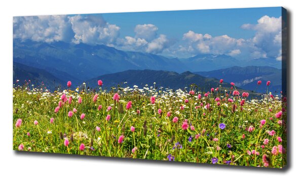 Print pe canvas Meadow în munți