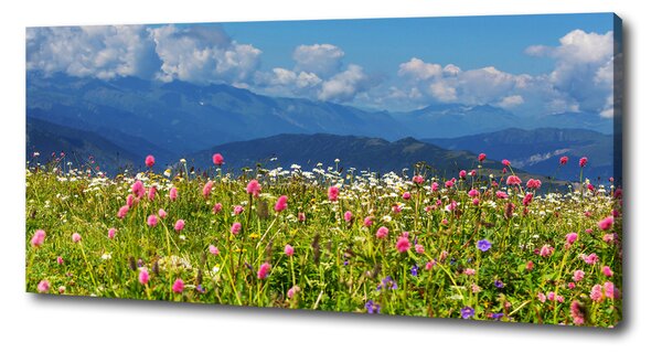 Print pe canvas Meadow în munți