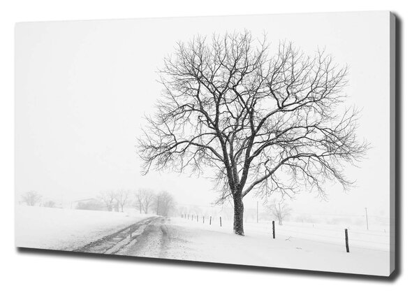 Tablou pe pânză canvas copac în timpul iernii