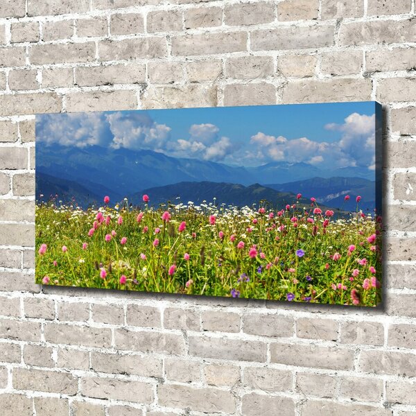 Print pe canvas Meadow în munți