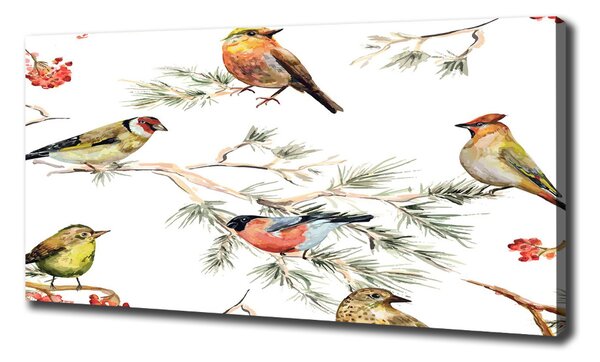 Tablou pe pânză canvas plante Forest păsări
