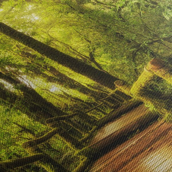 Tablou junglei cu mușchi (120x50 cm)