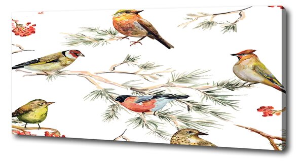 Tablou pe pânză canvas plante Forest păsări