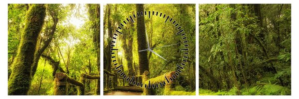 Tablou junglei cu mușchi (cu ceas) (90x30 cm)