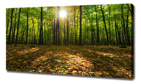 Print pe canvas pădure