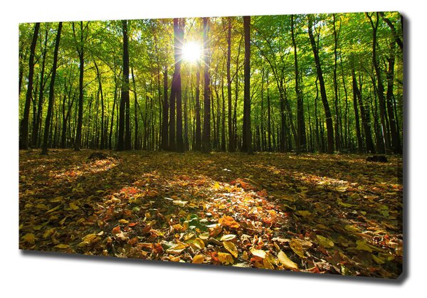 Print pe canvas pădure