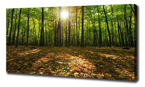 Print pe canvas pădure