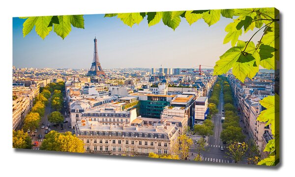 Tablouri tipărite pe pânză Paris