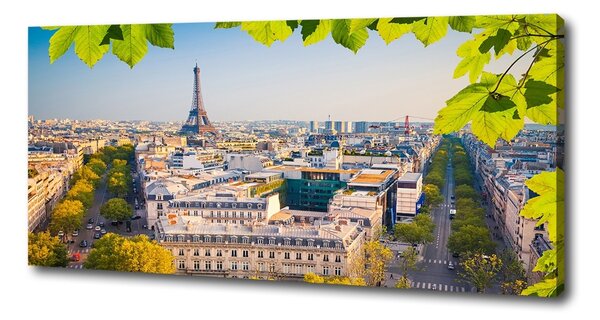 Tablouri tipărite pe pânză Paris