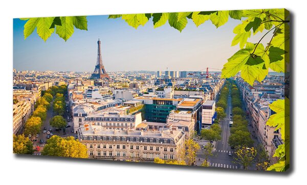 Tablouri tipărite pe pânză Paris