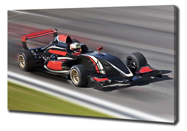 Tablou pe pânză canvas Formula 1
