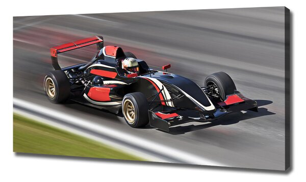 Tablou pe pânză canvas Formula 1