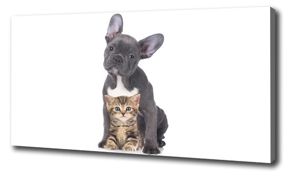 Tablou canvas Câine și pisică