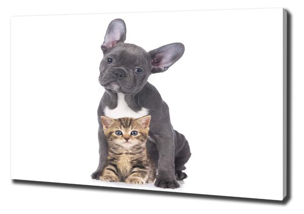 Tablou canvas Câine și pisică