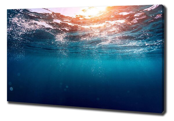 Print pe canvas Lumea subacvatica