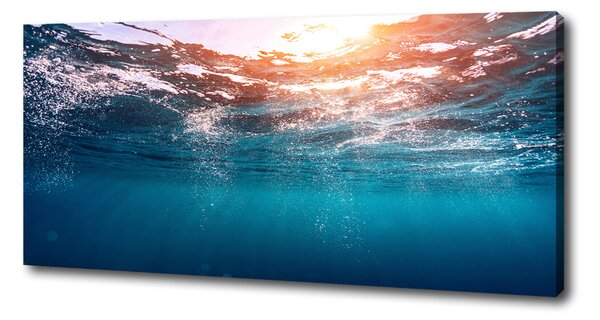 Print pe canvas Lumea subacvatica