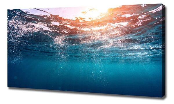 Print pe canvas Lumea subacvatica