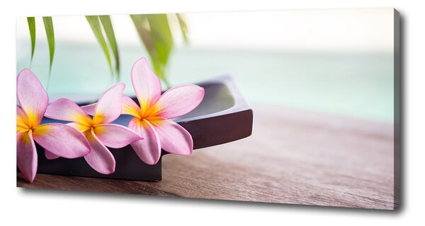 Tablou pe pânză canvas plumeria