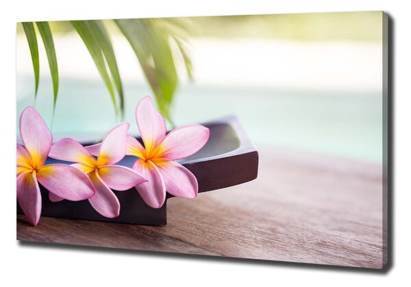 Tablou pe pânză canvas plumeria