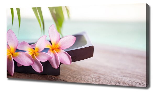 Tablou pe pânză canvas plumeria