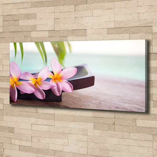Tablou pe pânză canvas plumeria