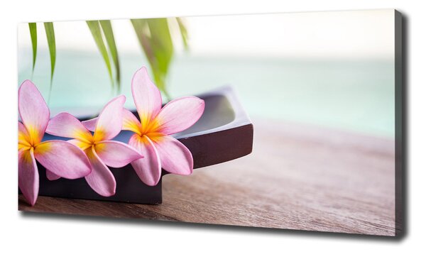Tablou pe pânză canvas plumeria
