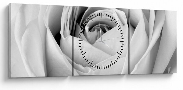 Tablou - Detailu de floare de trandafir (cu ceas) (90x30 cm)