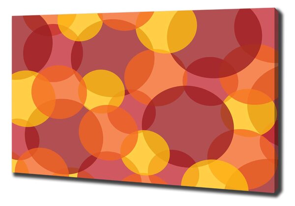Pictură pe pânză cercuri colorate
