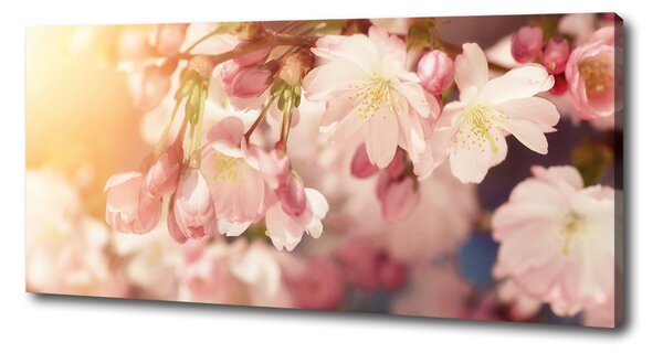Print pe canvas flori de cireș