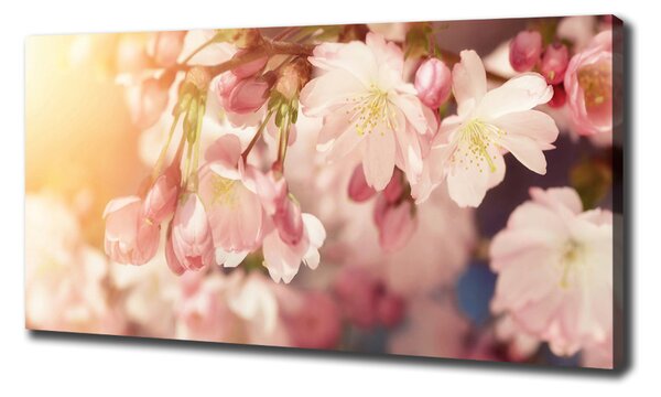 Print pe canvas flori de cireș