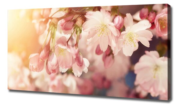 Print pe canvas flori de cireș