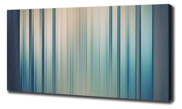 Print pe canvas dungi albastre