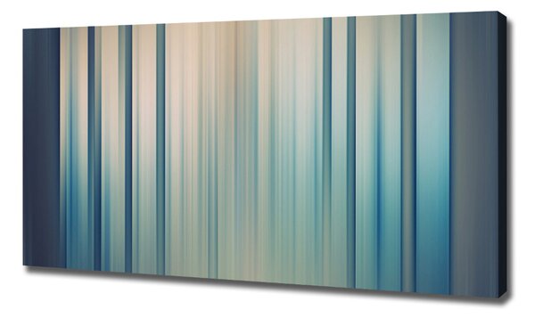 Print pe canvas dungi albastre