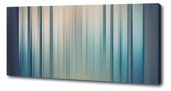 Print pe canvas dungi albastre