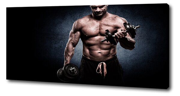 Tablouri tipărite pe pânză Clădire musculare