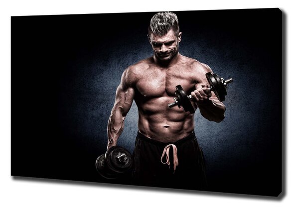 Tablouri tipărite pe pânză Clădire musculare