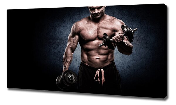 Tablouri tipărite pe pânză Clădire musculare