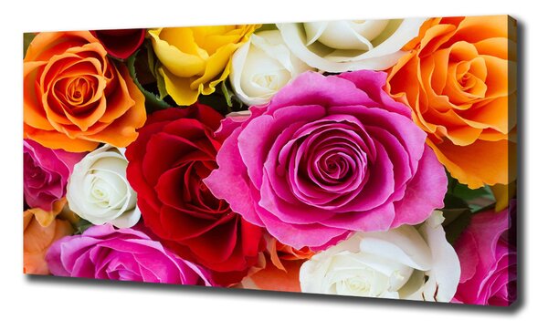Tablou pe pânză canvas trandafiri colorați