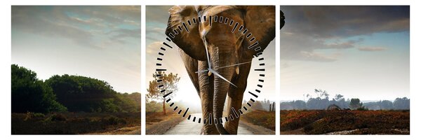Tablou cu elefant (cu ceas) (90x30 cm)