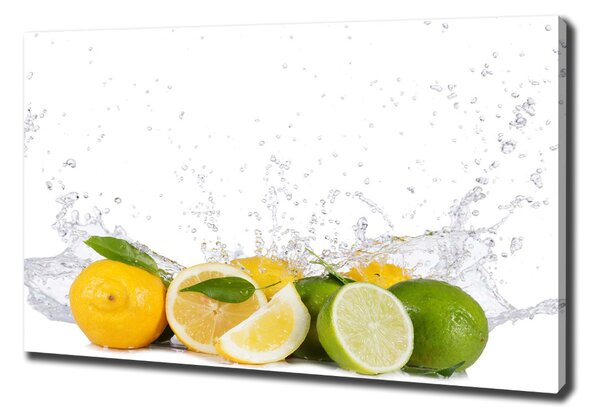 Print pe pânză Fructe citrice și apă