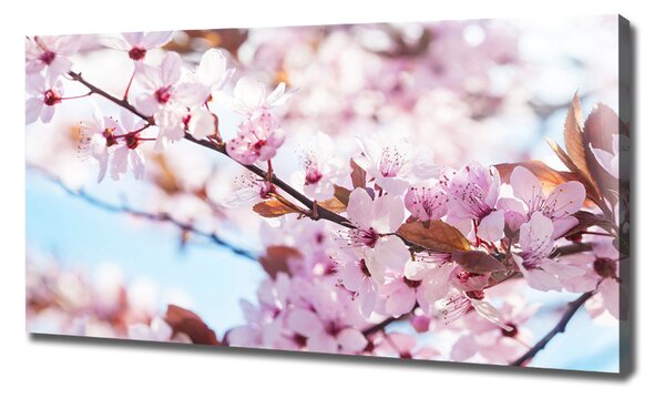 Print pe canvas flori de cireș