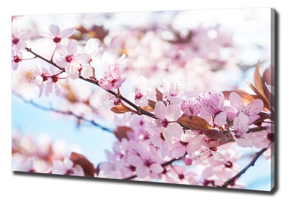 Print pe canvas flori de cireș