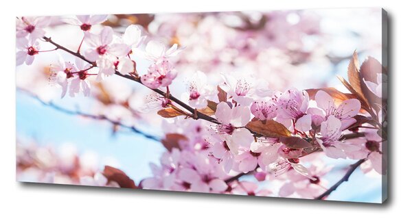 Print pe canvas flori de cireș