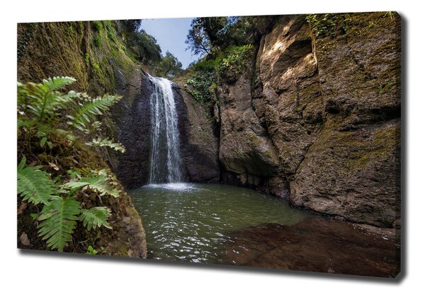 Pictură pe pânză Cascada în Sardinia