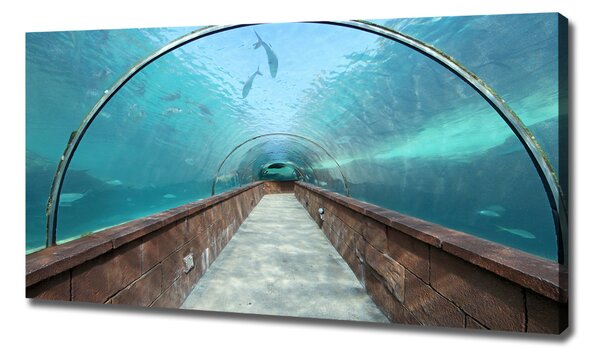 Print pe canvas Acvariul tunel