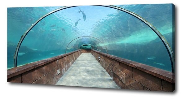 Print pe canvas Acvariul tunel